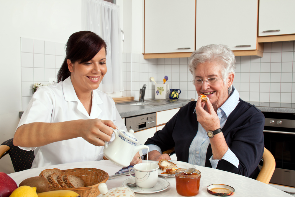 senior home modifications and in home care